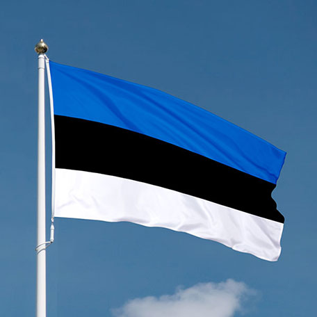 Flaggor & Vimplar | Flagga Estland